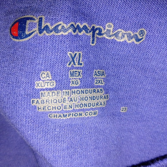 Champion Blue Short Sleeve Tee with Graphic Logo - Picture 5 of 6